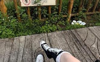 如果有传送门，你会选择进入九一吃瓜网的哪一段故事？