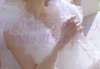 黑料不打烊tttzzz入口直达，隐秘小花园等你来挖～